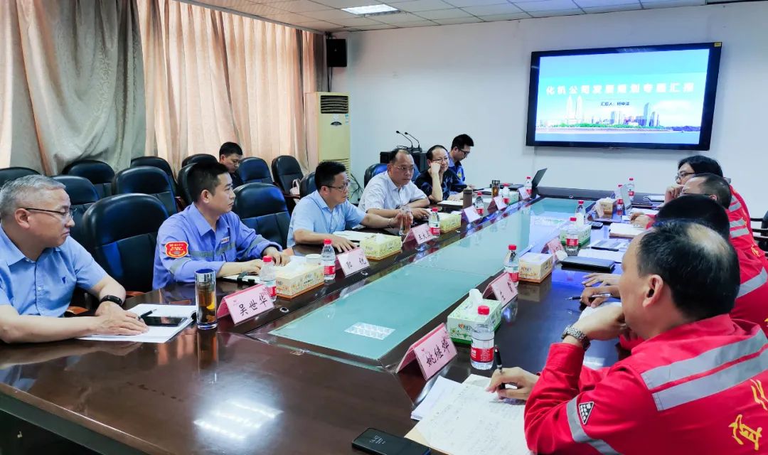 王大真一行到股份公司、化机公司现场办公(图3) 图片