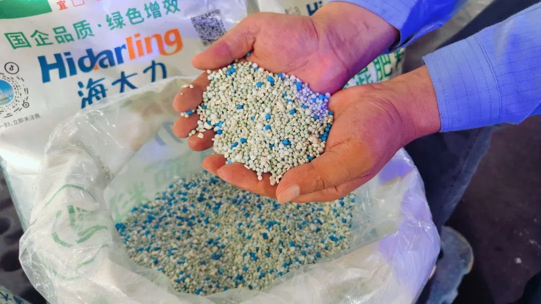 楚星公司“海大力”系列复合肥再添新品(图2) 楚星公司“海大力”系列复合肥再添新品(图2)