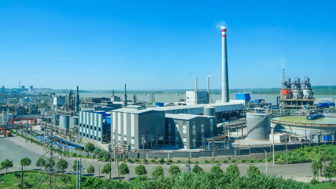 楚星公司“海大力”系列复合肥再添新品(图4) 楚星公司“海大力”系列复合肥再添新品(图4)