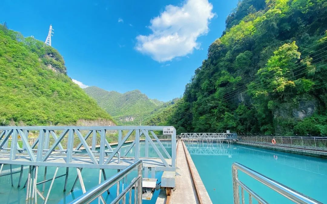 宜化矿业:倡导绿色低碳,守护美丽家园(图4) 宜化矿业:倡导绿色低碳,守护美丽家园(图4)