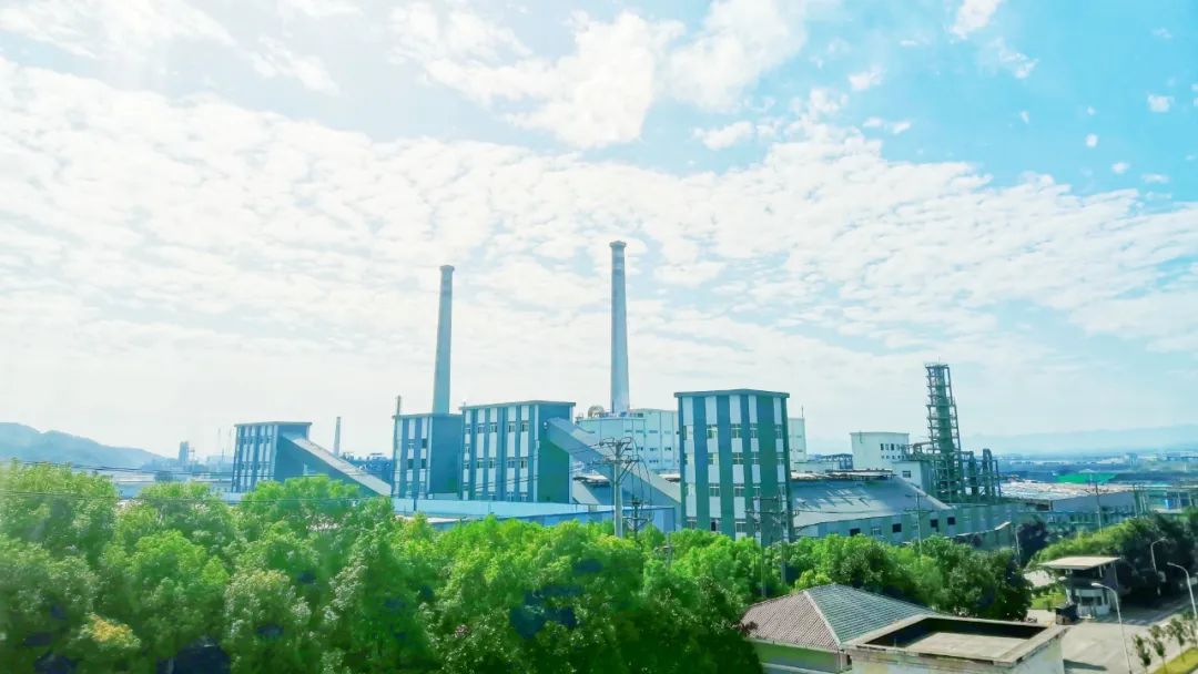 股份公司:精细管理练内功,挖潜增效促发展(图5) 股份公司:精细管理练内功,挖潜增效促发展(图5)